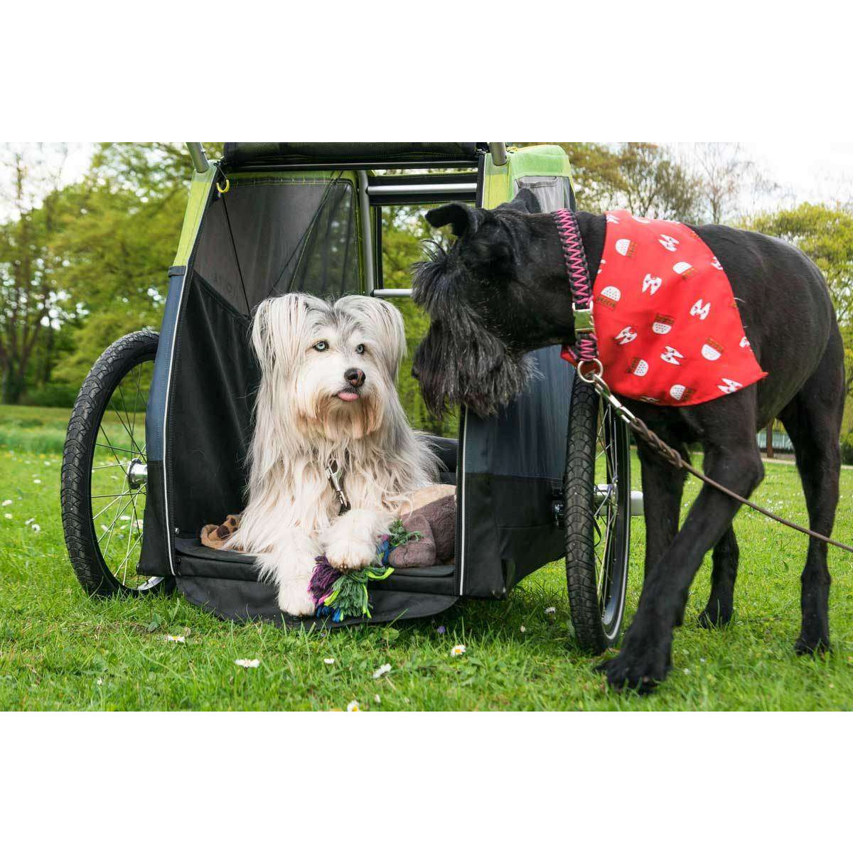 Croozer_DogXL_Buggy_Action02_2018_web Croozer_DogXL_Buggy_Action02_2018_web